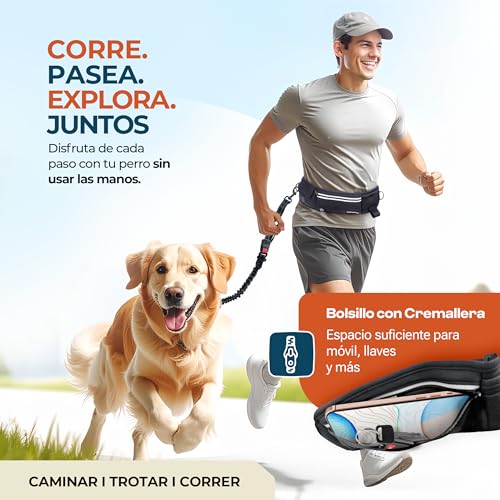 Correa de cintura para perro NEGRA