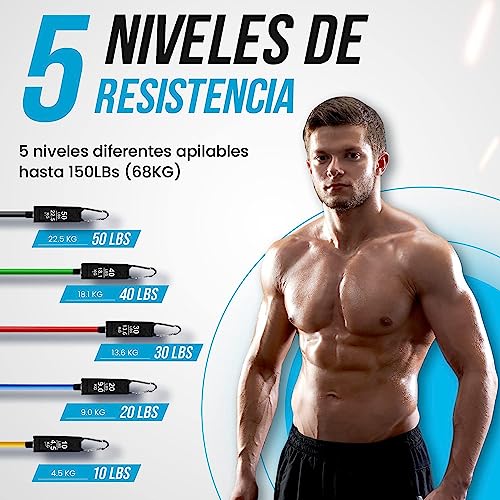 Gomas elasticas musculación Kit 150 lbs de 12 Bandas elasticas