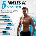 Gomas elasticas musculación Kit 150 lbs de 12 Bandas elasticas