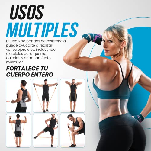 Gomas elasticas musculación Kit 150 lbs de 12 Bandas elasticas