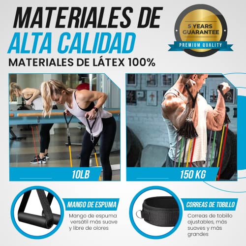 Gomas elasticas musculación Kit 150 lbs de 12 Bandas elasticas