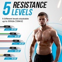 Gomas elasticas musculación Kit 300 lbs