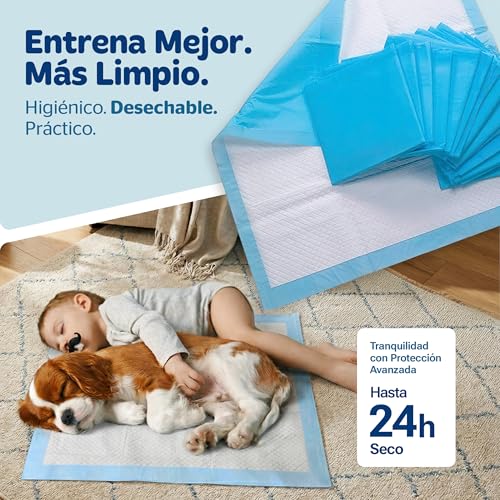 Empapadores 60x60 cm 100u.
