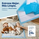 Empapadores 60x60 cm 100u.
