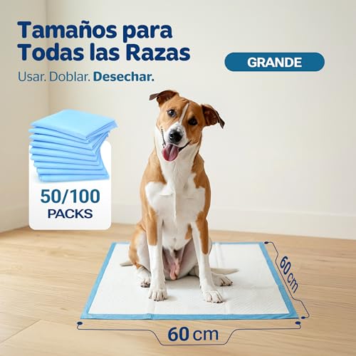 Empapadores 60x60 cm 100u.