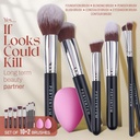 Kit Pinceles 10+2