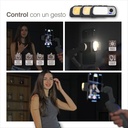 Gimbal Pro