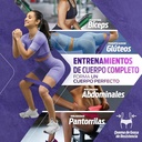 5 BANDAS PURPLE