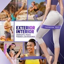 5 BANDAS PURPLE