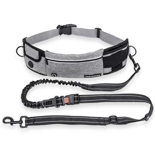 [8436614730941] Cinturón para pasear perro gris